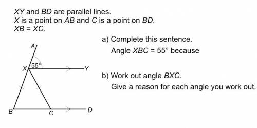XY and BD are parallel lines. X is a point on AB and C is a point on BD. XB = XC. a) complete this s