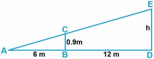 Use similar triangles to calculate the height,h cm, of triangle ABE