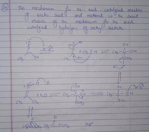 Using the mechanism for the acid-catalyzed hydrolysis of an ester as your guide, write the mechanism