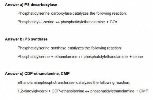 Phosphatidylethanolamine has alternate pathways for synthesis. The reactions represent these pathway