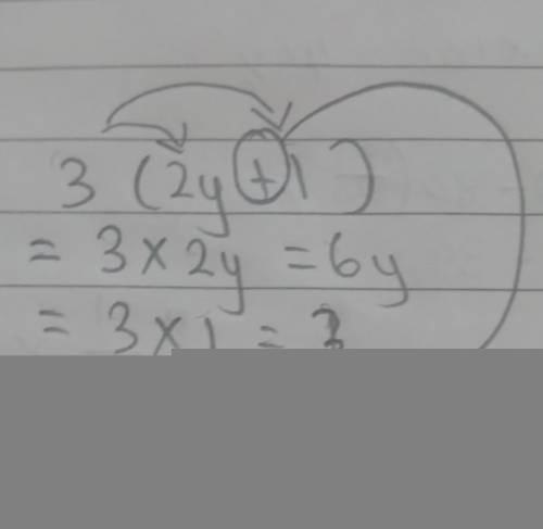 How do I expand 3(2y+1)