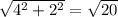 \sqrt{4^2 + 2^2 } = \sqrt{20}