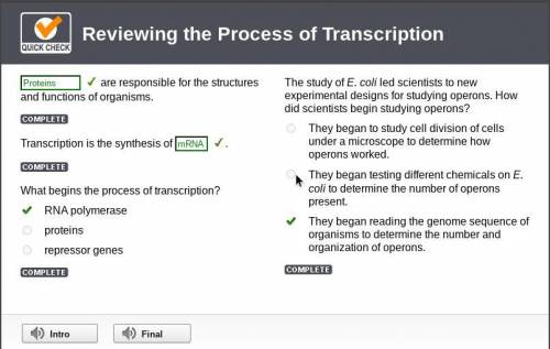 Which of the following sequences of processes correctly reflects the central dogma? protein synthesi