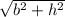\sqrt{b^2+h^2}