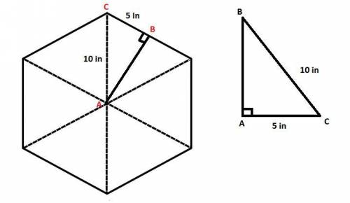 A regular hexagon is shown. A regular hexagon with a radius of 10 inches is shown. What is the lengt