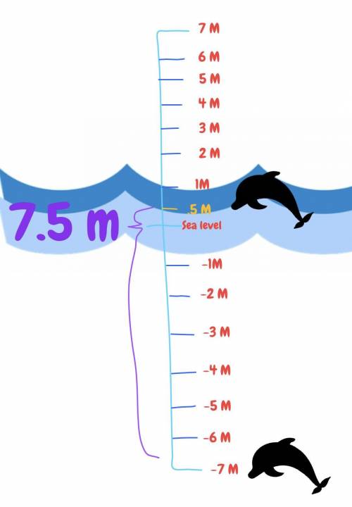 A little while ago, a dolphin was swimming below sea level at -7 meters. Now the dolphin is jumping