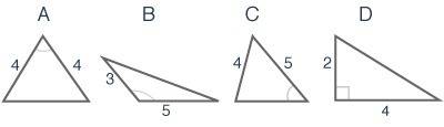 Denise calculated the missing side length of one of these triangles using the pythagorean theorem. w