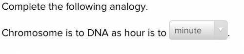 Complete the following analogy.

Chromosome is to DNA as hour is to
calendar
minute
clock
