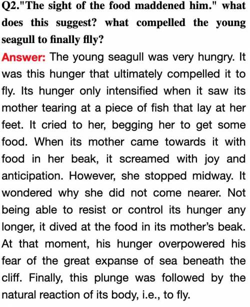 the sight of the food maddened him. what does this suggest? what compelled the young seagull to fi