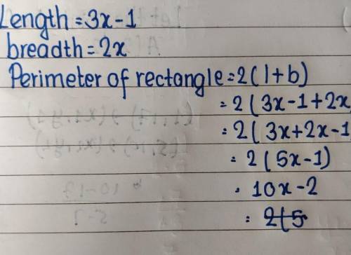 A rectangle has a length 3x-1 and a width 2x. What is the perimeterof the rectangle
