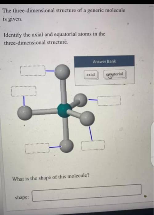 The three‑dimensional structure of a generic molecule is given. Identify the axial and equatorial at