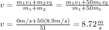v=\frac{m_1v_1+m_2v_2}{m_1+m_2}=\frac{m_1v_1+50m_1v_2}{m_1+50m_1}\\\\v=\frac{0m/s+50(8.9m/s)}{51}=8.72\frac{m}{s}