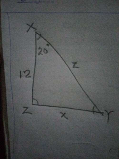 Which equation finds the value of x in the triangle below?

Right triangle X Y Z is shown. Side X Z