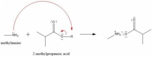 Draw a mechanism for the reaction of methylamine with 2-methylpropanoic acid. Draw any necessary cur