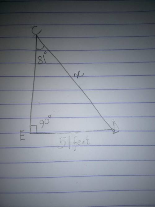 In triangle CDE the measure of angle E equals 90° the measure of angle C equals 81° De

equals 51 fe