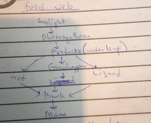 5.

(i) What is food web? Tlustrate with the help of example,(ii) (a) What is an ecosystem? List its
