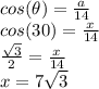 cos(\theta)=\frac{a}{14} \\cos(30)=\frac{x}{14} \\\frac{\sqrt{3} }{2} =\frac{x}{14} \\x=7\sqrt{3}