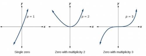 Why is it important to consider multiplicity when determining the roots of a polynomial equation? Wr