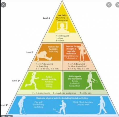 physical activity pyramid level 1
