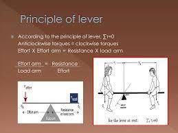 What is the working principle of lever