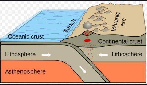 What happens to the oceanic crust inbetween when the two continents meet?