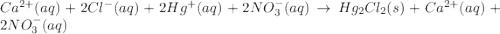 Ca^{2+}(aq)+2Cl^{-}(aq)+2Hg^{+}(aq)+2NO_3^{-}(aq)\rightarrow Hg_2Cl_2(s)+Ca^{2+}(aq)+2NO_3^{-}(aq)