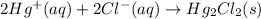 2Hg^{+}(aq)+2Cl^{-}(aq)\rightarrow Hg_2Cl_2(s)