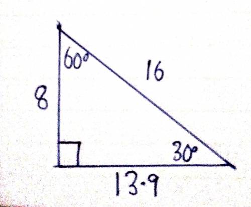 Based on the given angle measures, which triangle has side length measures that could be correct? A