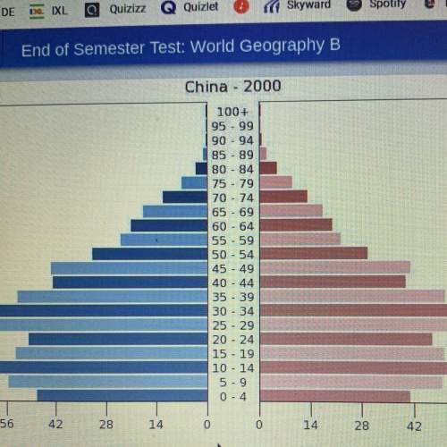 According to the population pyramid, in 2000 china had about 120 million people in which age-group?