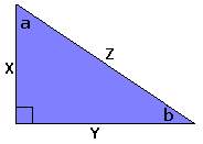 If y = 2.5 cm and z = 6.5 cm, what is the length of x?  a. 8 cm b. 3 cm c. 6 cm
