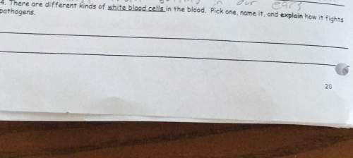 There are different kinds of white blood cells in the blood. pick one, name it, and explain how it f