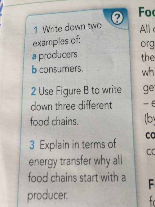 Why do all food chains start with a producer? (in terms of energy transfer)