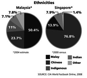According to the pie chart, which group makes up about one-fourth of the population of malaysia and