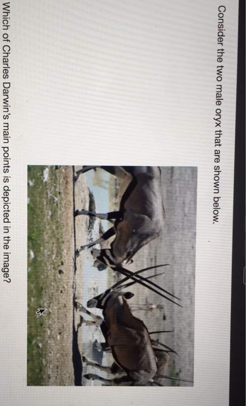 Consider the two male oryx that are shown below.which of charles darwin's main points is depicted in