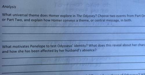 What universal theme does homer explore in the odyssey?