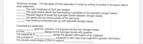 Put the steps of dna replication in order .
