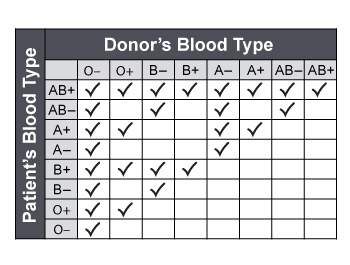 Based on the chart below, if a patient can receive only blood types o–, o+, b–, and b+, which blood