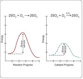 Refer to the graphs to compare the rate of this reaction with and without a catalyst. which be