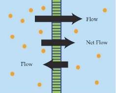 If the molecules are not in water, the randomly moving process shown in this diagram is known as