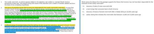 Double check my questions! sorry for the highlighting on the first two photos. explain to me the c