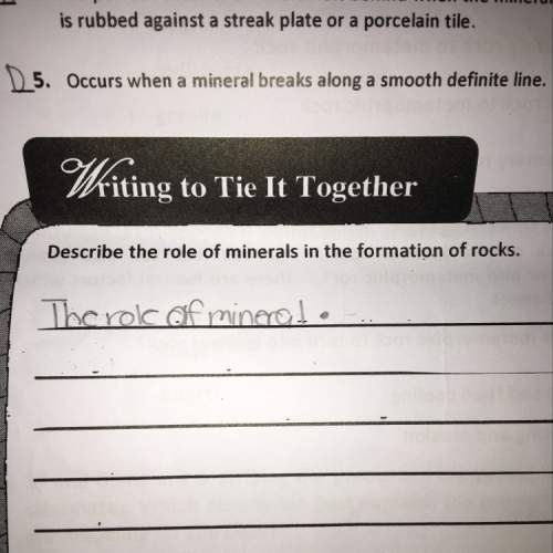Describe the role of minerals in the formation of the rock
