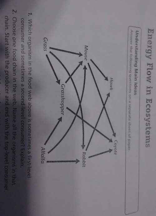 On question 2.choose one food chain in the web. name all the organisms in that chain. st