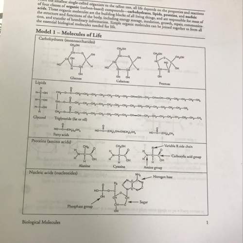 What is the chemical formula of the first carbohydrate molecule
