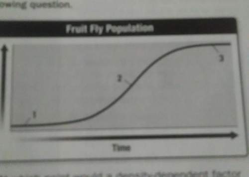 In the fruit fly population diagram,explain why the population stops increasing after it reaches poi