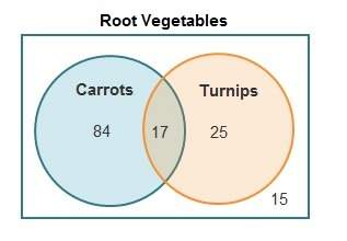 An informal survey was taken at a farmer’s market. people were asked whether they liked carrots, tur