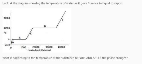 What is happening to the temperature of the substance before and after the phase changes?