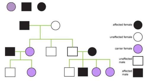 Drag each label to the correct location. identify the genotypes for this pedigree chart.