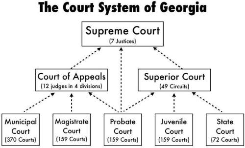 What conclusion can you make about the georgia court system?  a) its members are appointed.