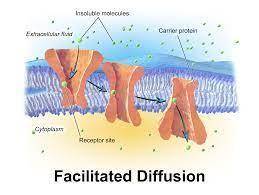 Which of the following is not characteristic of facilitated diffusion? A It moves substances against