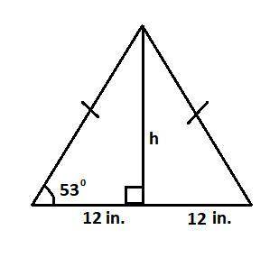 The base of an isosceles triangle is 24 inches and one of the base angles is 53o. Find to the neares